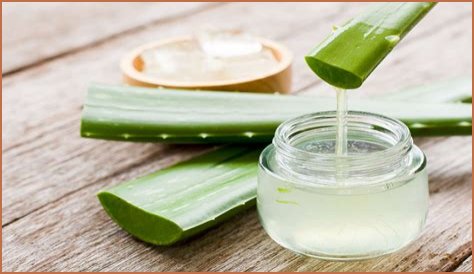 5 Reasons to Add Aloe Vera to Your Skincare Routine If You're Over 50